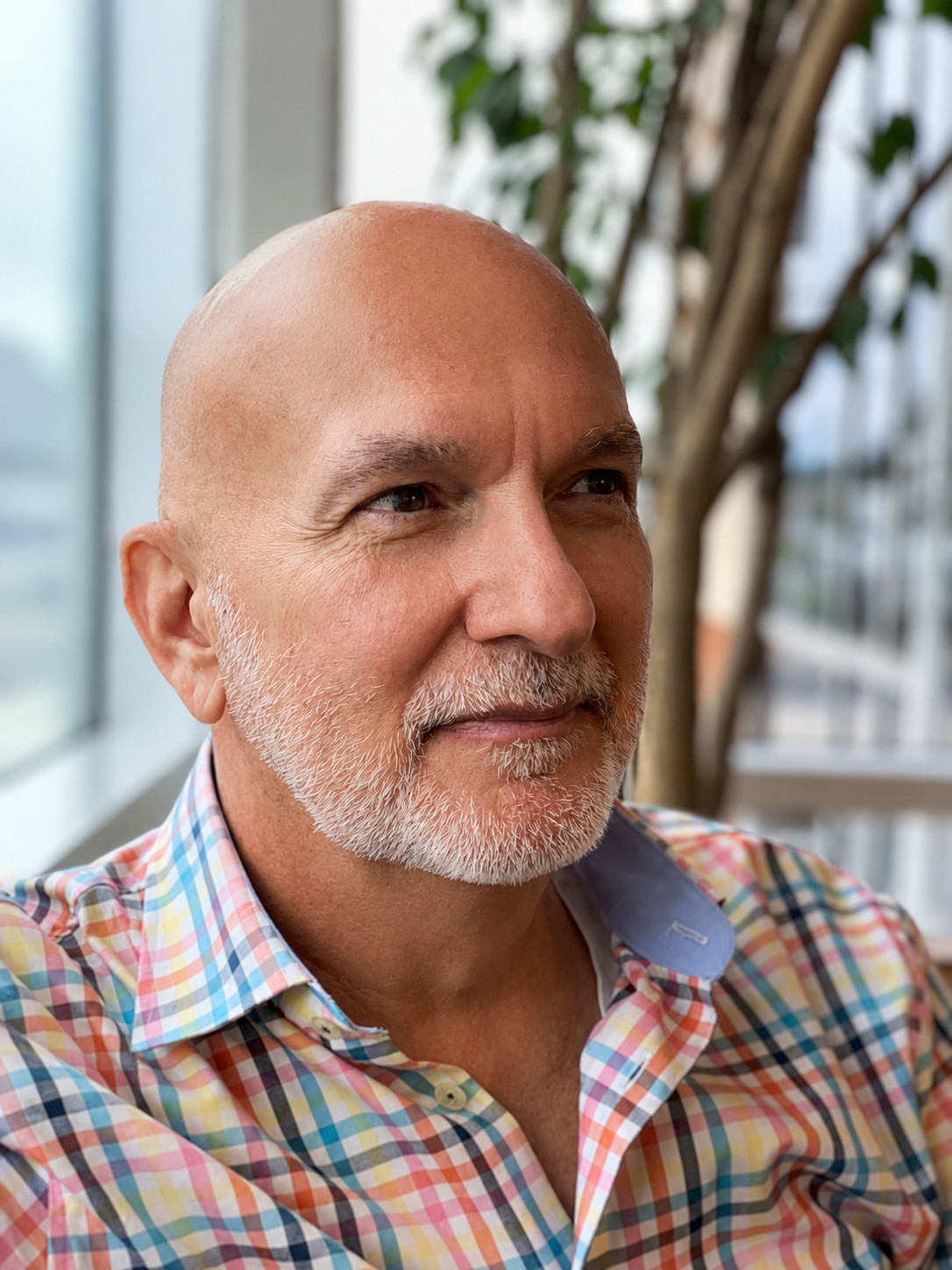 Frank Meira Gross